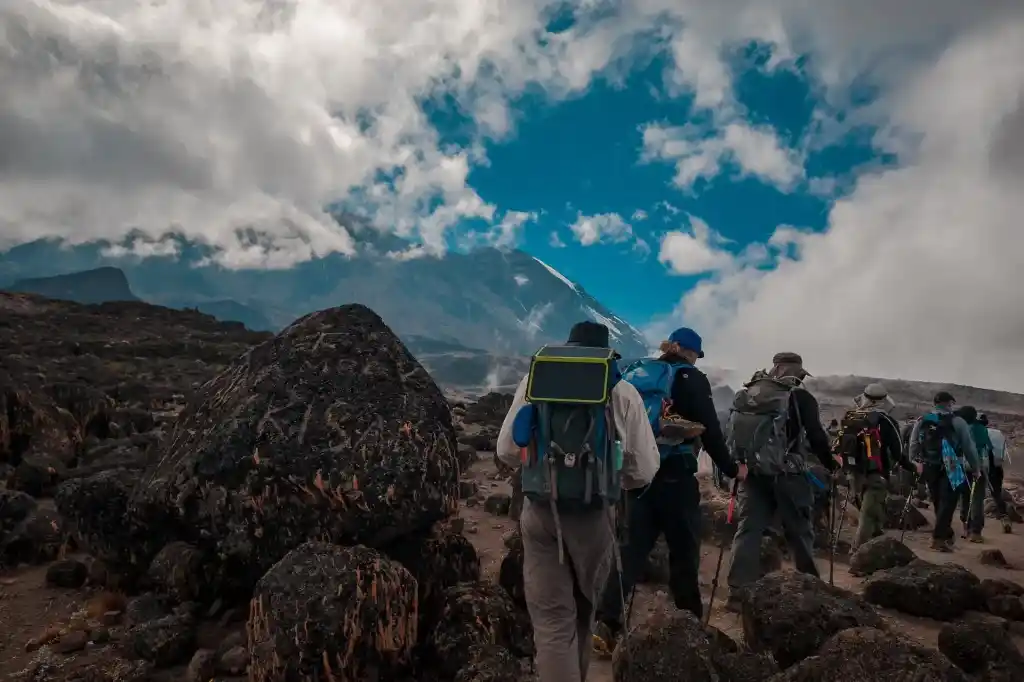 8 Days Lemosho Kilimanjaro Climb