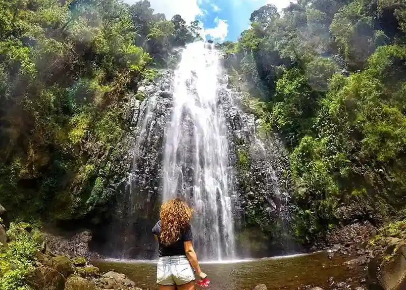 Materuni Waterfall & Coffee Tour from Moshi 2026